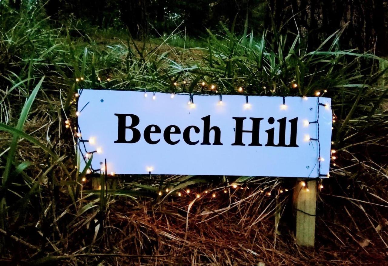 Tasman Beech Hill - Pet Friendly Holiday Home מראה חיצוני תמונה