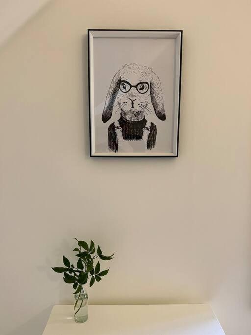 Tasman Beech Hill - Pet Friendly Holiday Home מראה חיצוני תמונה