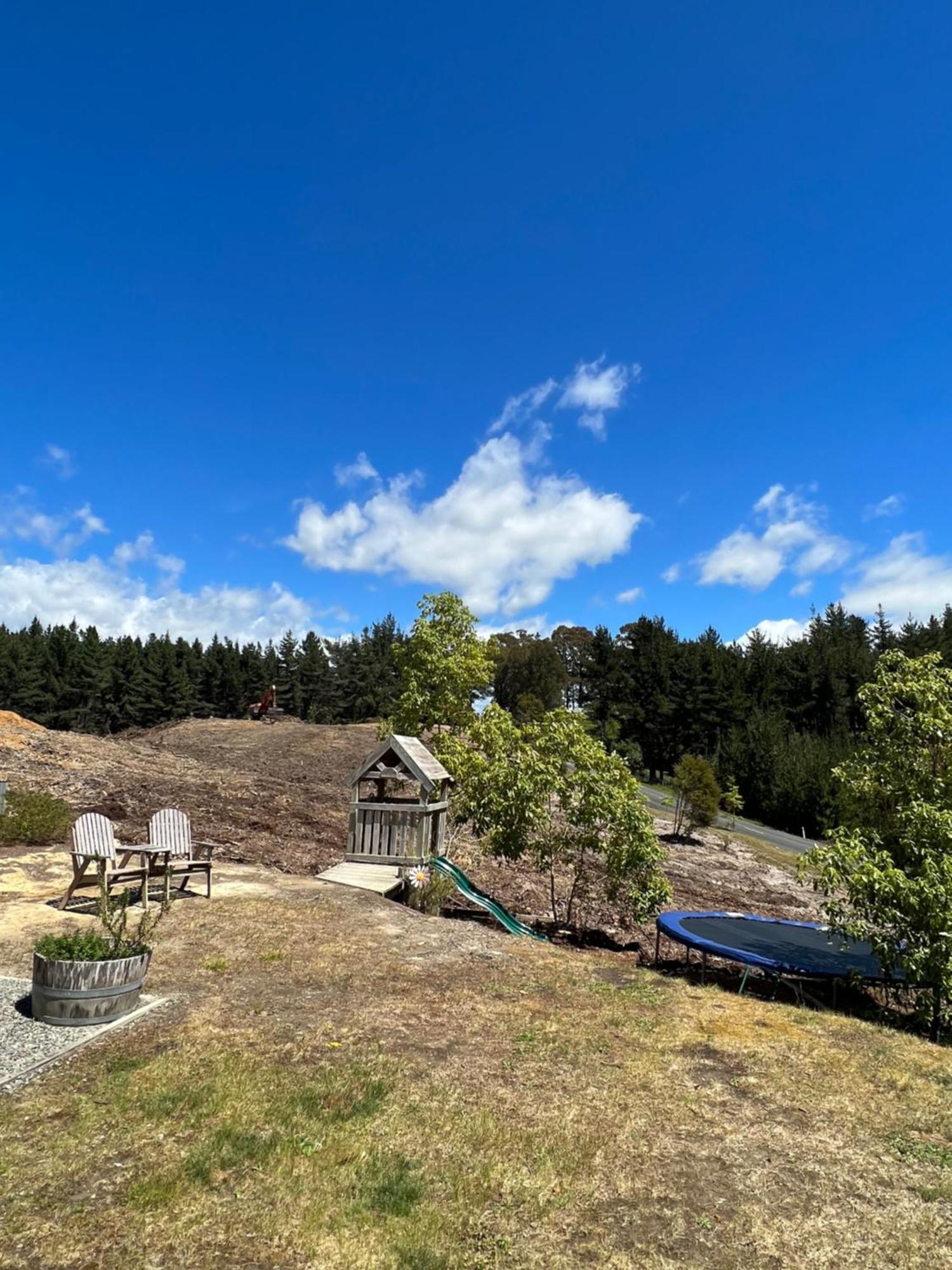 Tasman Beech Hill - Pet Friendly Holiday Home מראה חיצוני תמונה
